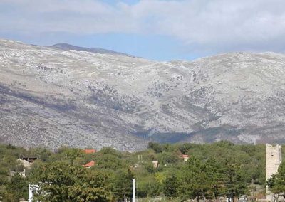 dinara_cetina